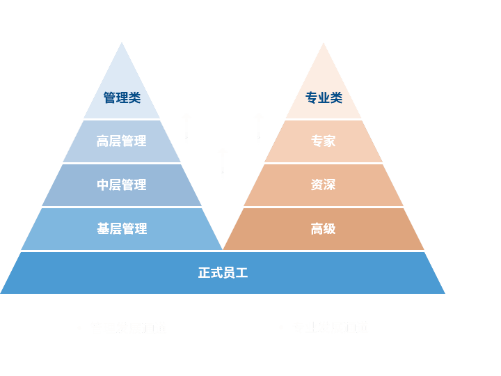 蒙特卡罗474 